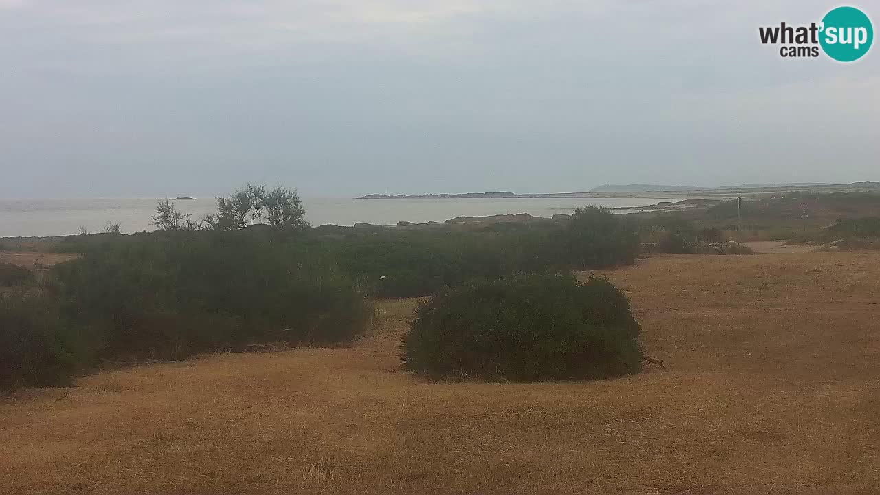 Mari Ermi beach | Is Arutas – Oristano