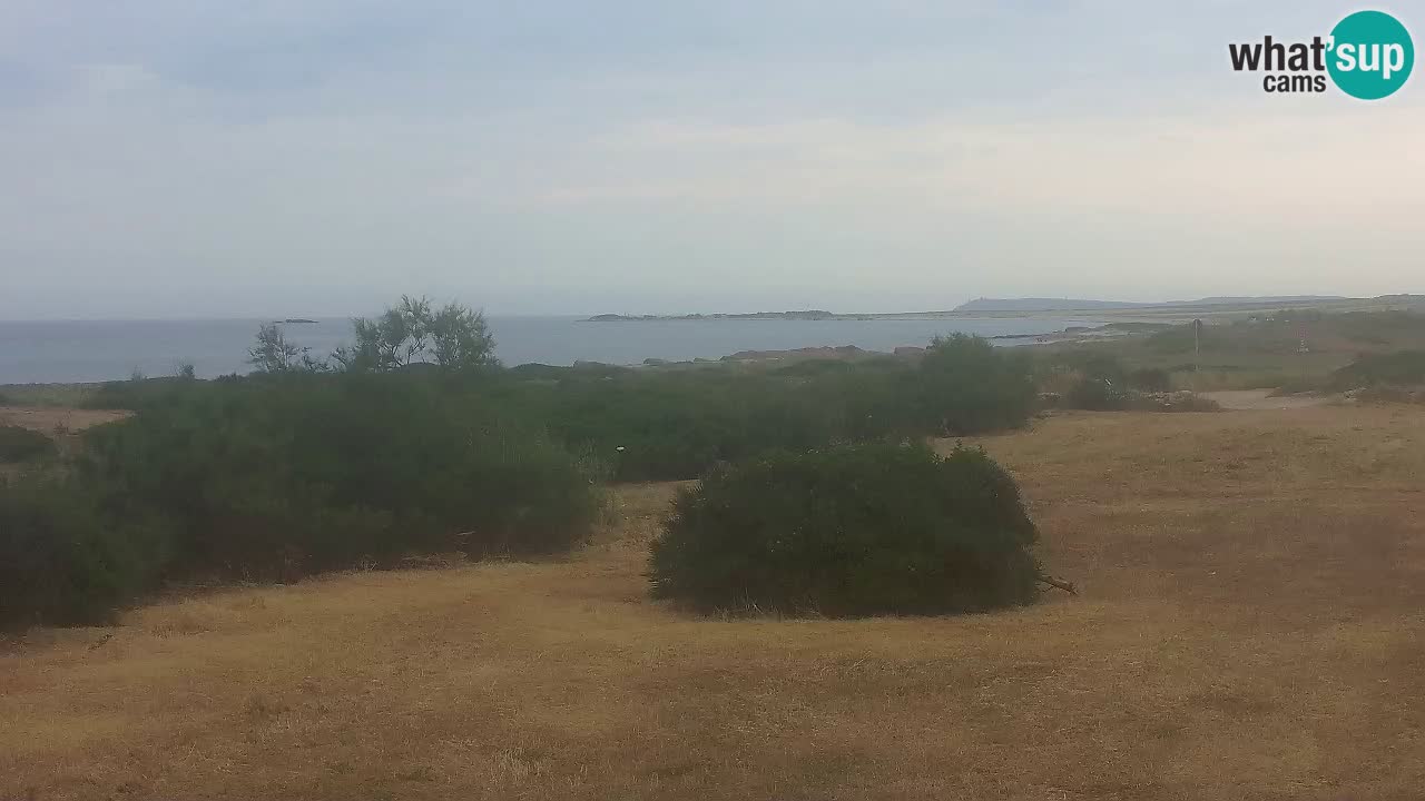 Mari Ermi Strand | Is Arutas – Oristano