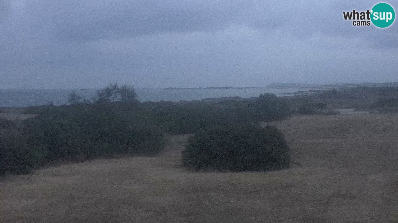 Plaža Mari Ermi | Is Arutas – Oristano