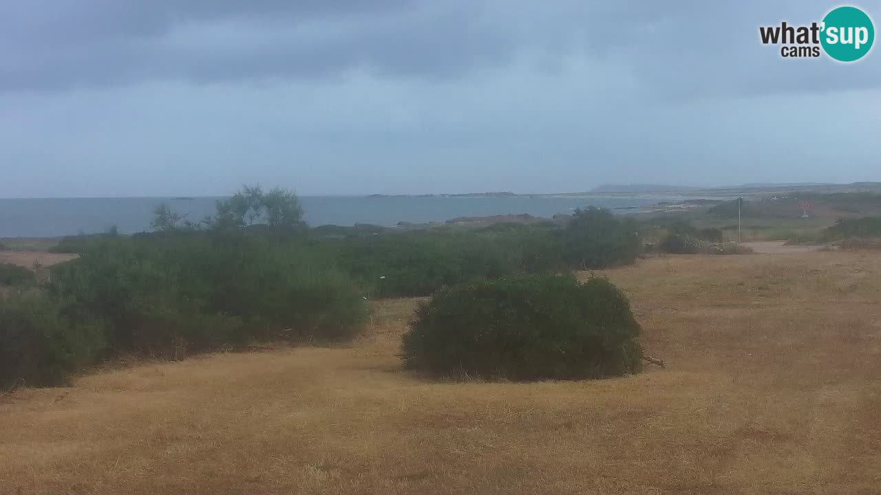Playa Mari Ermi | Is Arutas – Oristano