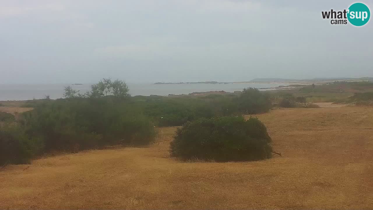Spiaggia Mari Ermi | Is Arutas – Oristano