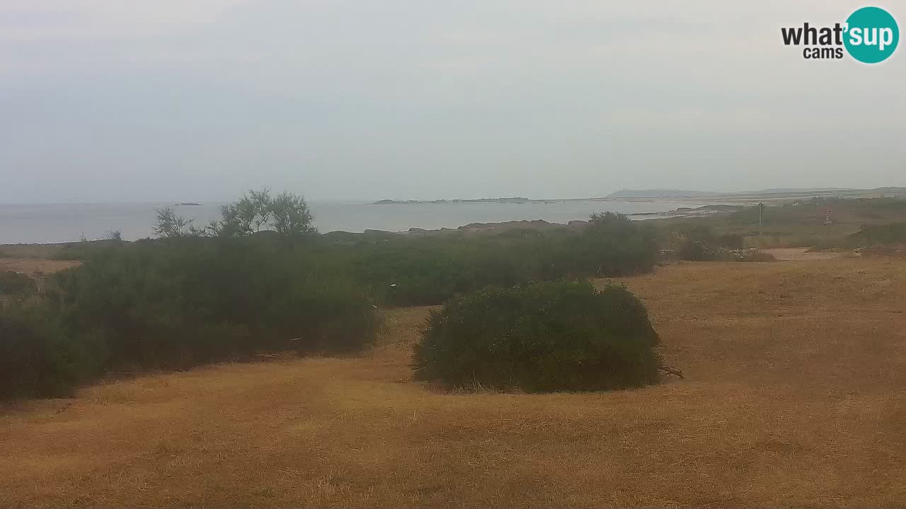 Plaža Mari Ermi | Is Arutas – Oristano