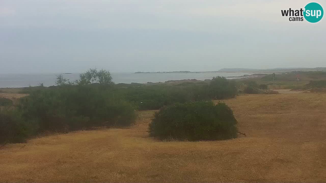 Plage Mari Ermi | Is Arutas – Oristano
