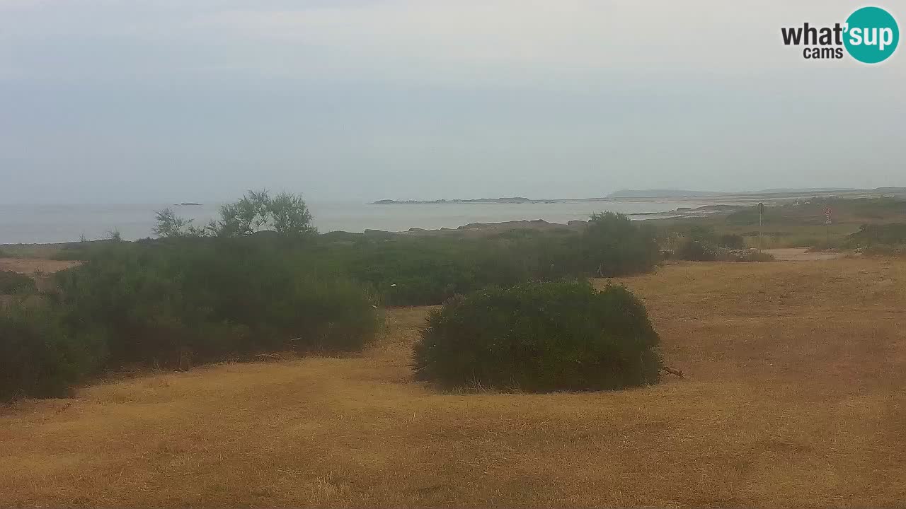 Mari Ermi Strand | Is Arutas – Oristano