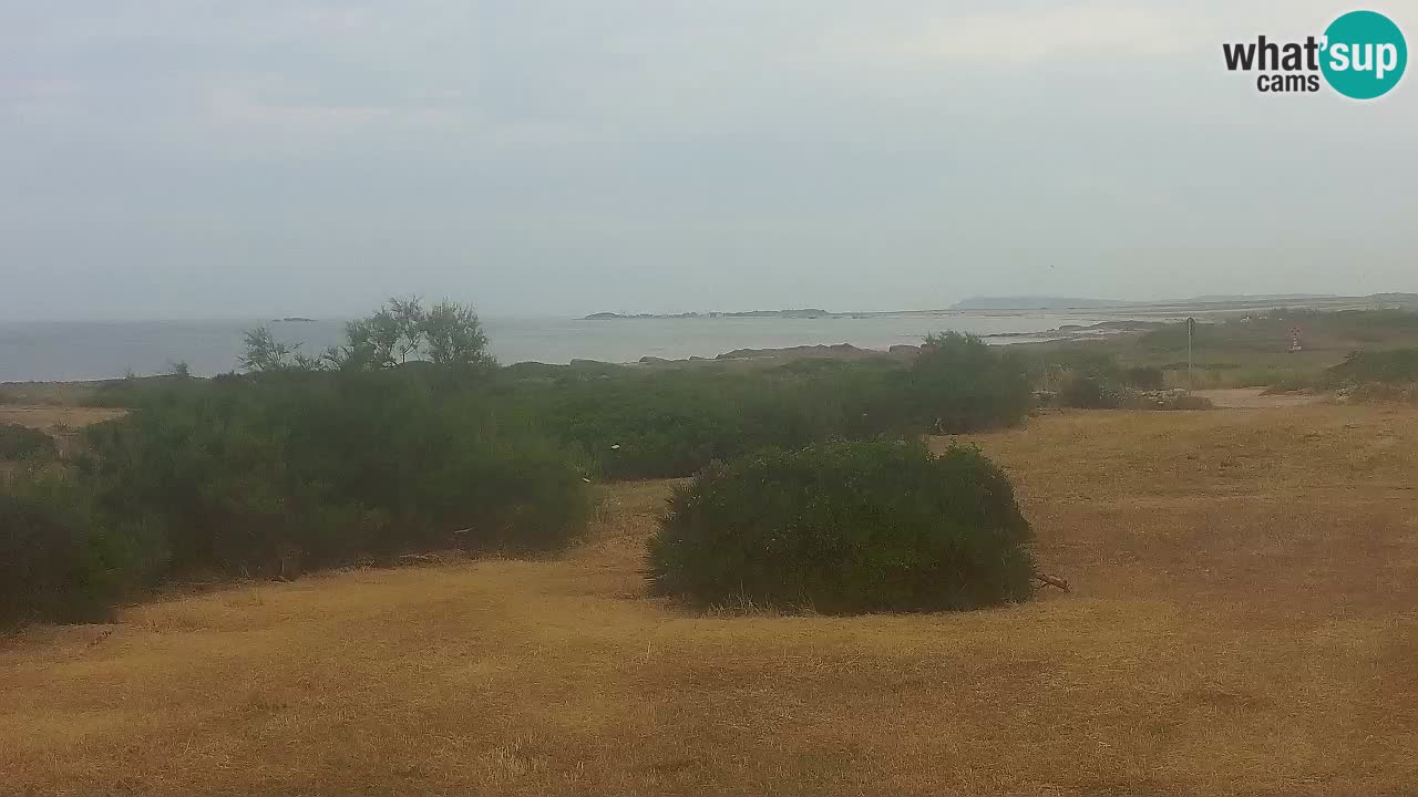 Mari Ermi Strand | Is Arutas – Oristano