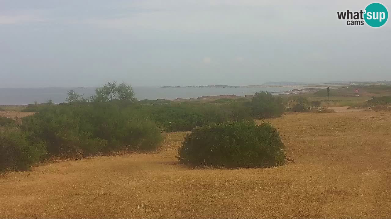 Spiaggia Mari Ermi | Is Arutas – Oristano