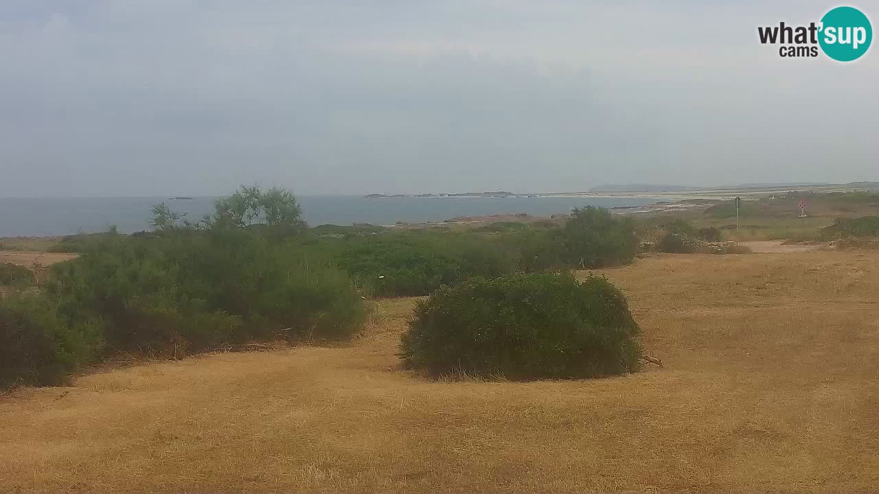 Playa Mari Ermi | Is Arutas – Oristano