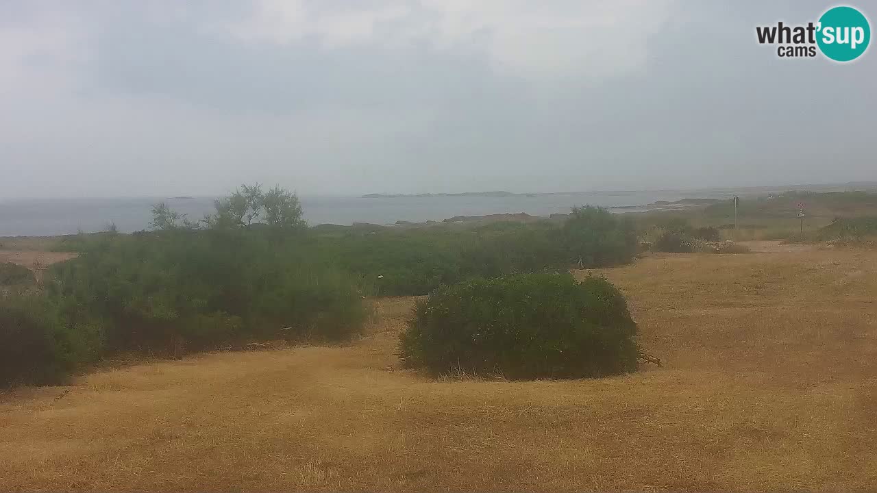 Plaža Mari Ermi | Is Arutas – Oristano