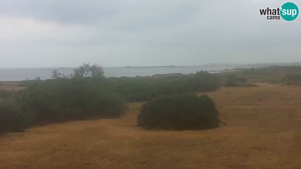 Mari Ermi Strand | Is Arutas – Oristano