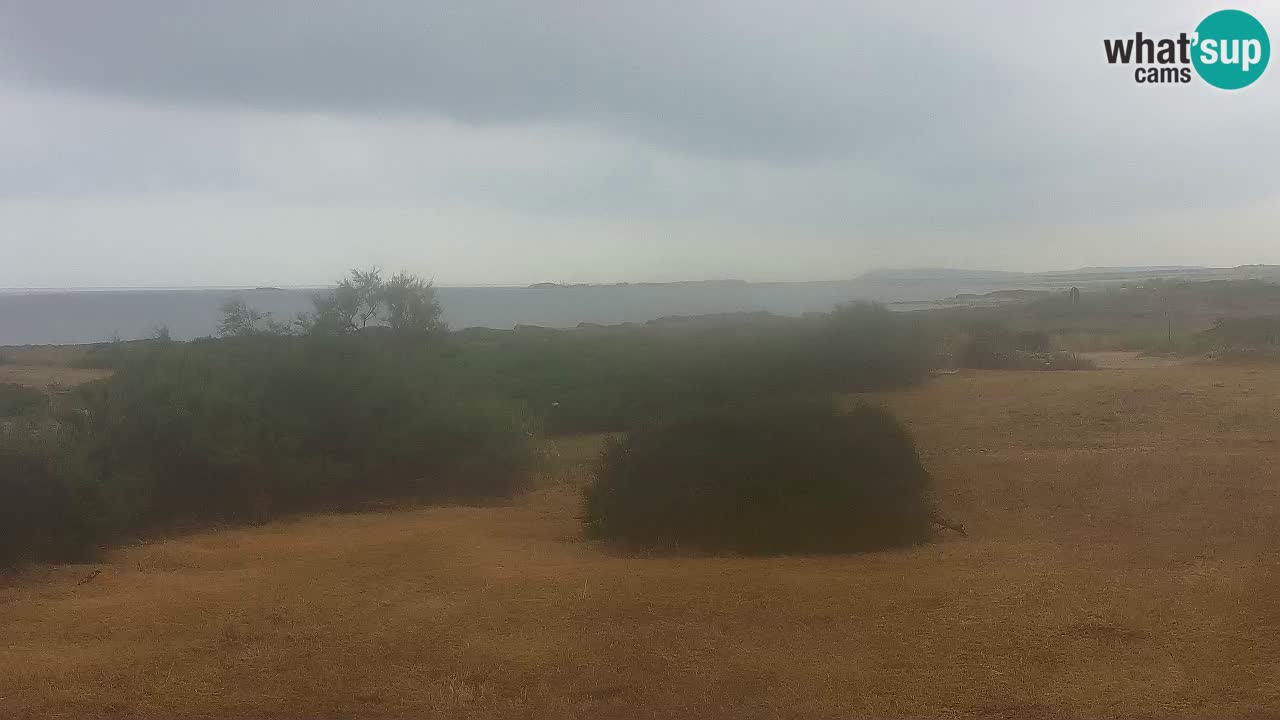 Playa Mari Ermi | Is Arutas – Oristano