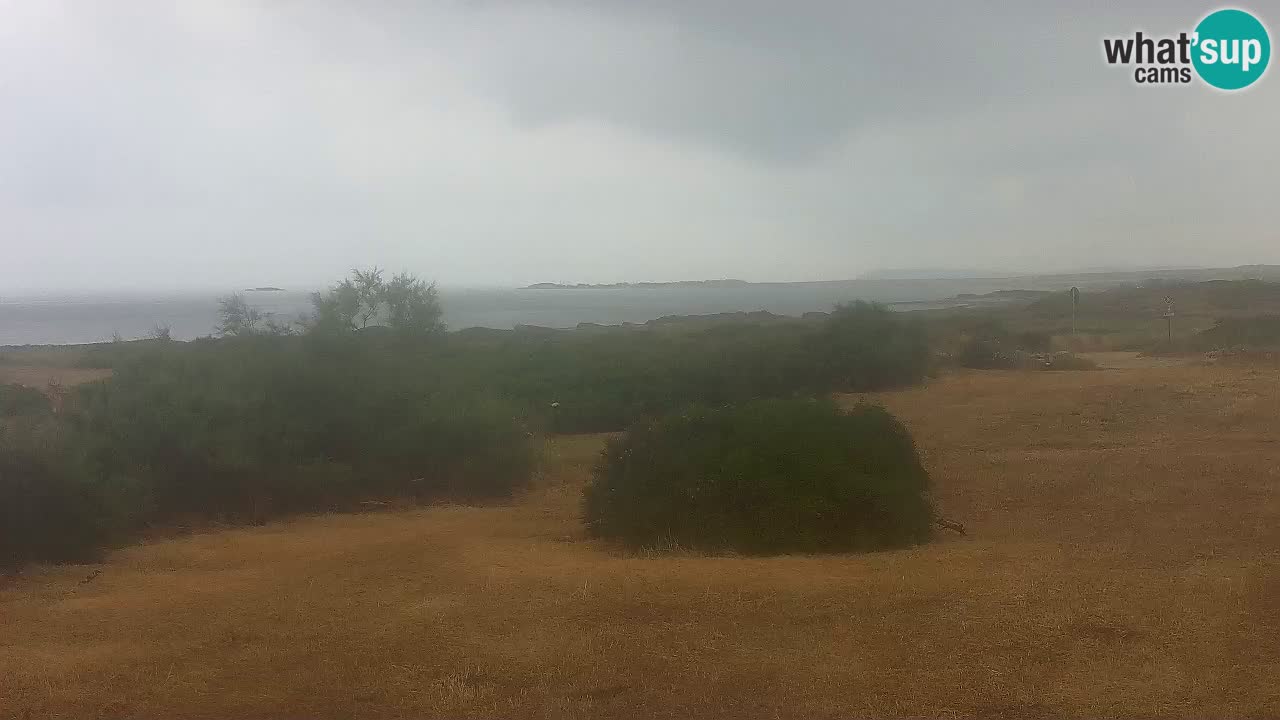 Plage Mari Ermi | Is Arutas – Oristano