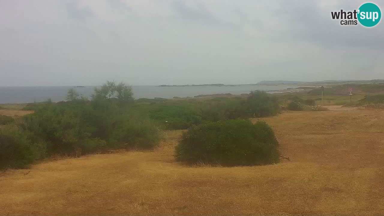 Playa Mari Ermi | Is Arutas – Oristano