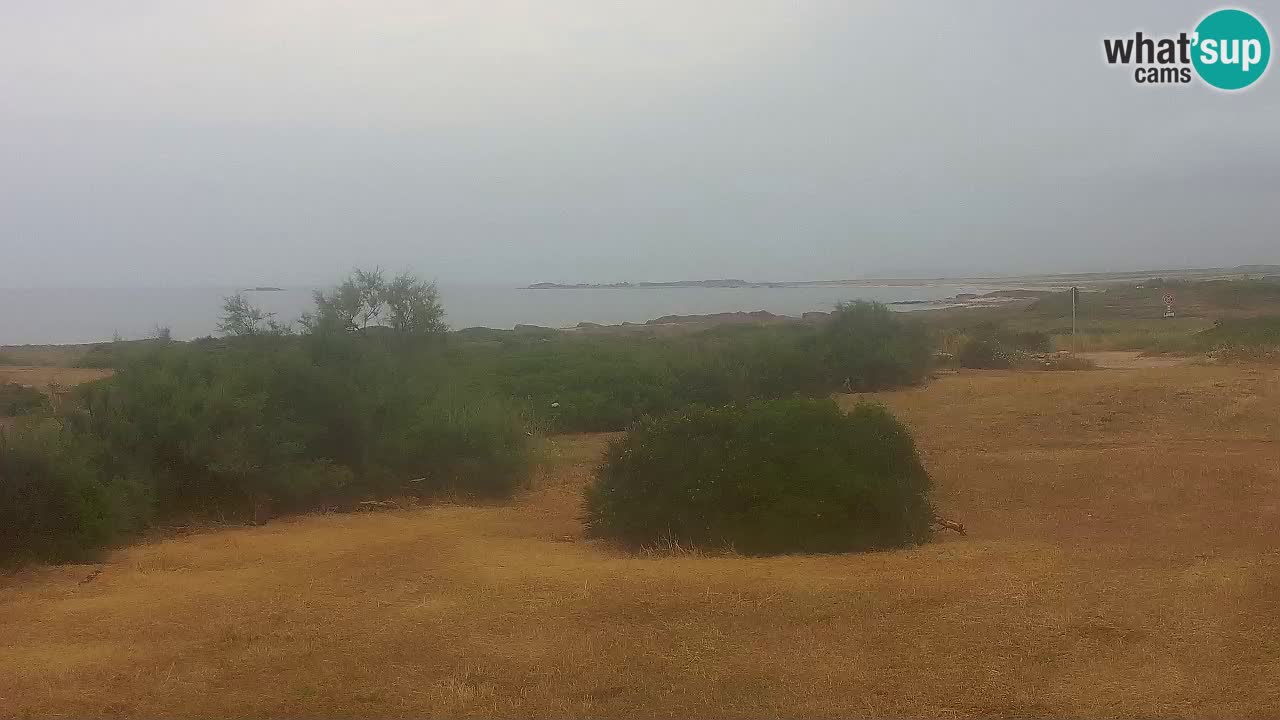 Playa Mari Ermi | Is Arutas – Oristano