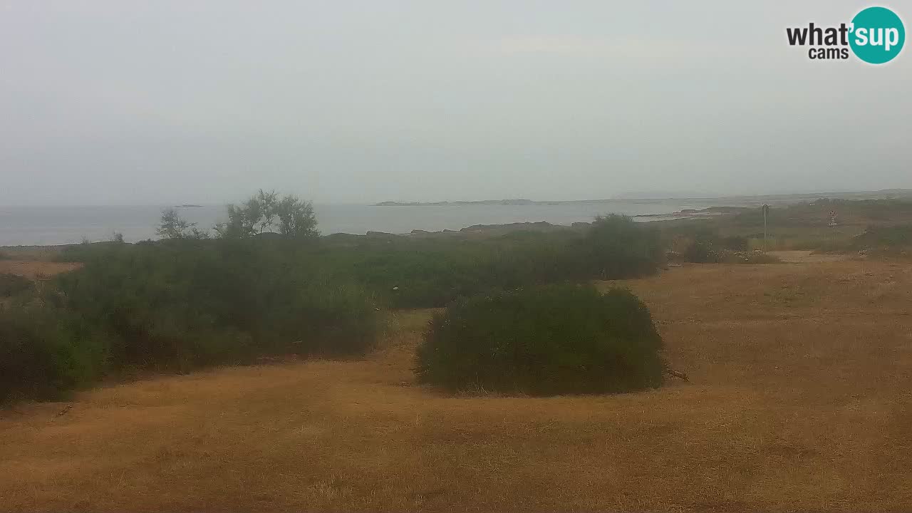 Plage Mari Ermi | Is Arutas – Oristano