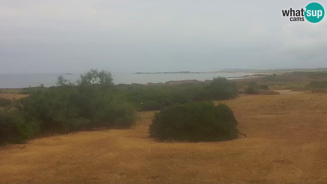 Plage Mari Ermi | Is Arutas – Oristano