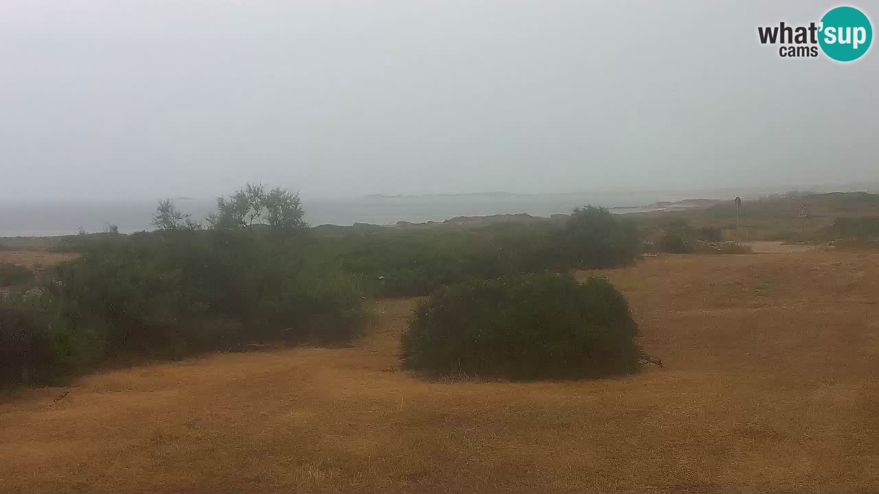 Spiaggia Mari Ermi | Is Arutas – Oristano