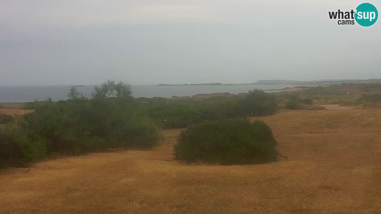 Plage Mari Ermi | Is Arutas – Oristano