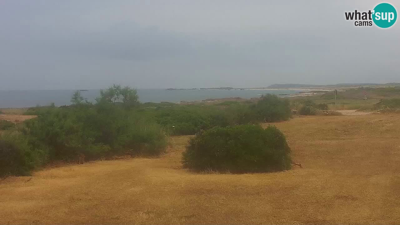Playa Mari Ermi | Is Arutas – Oristano