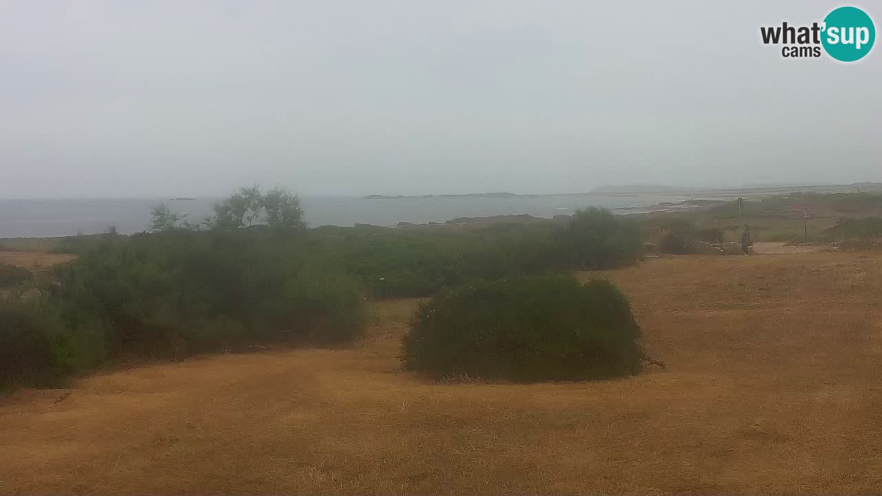 Spiaggia Mari Ermi | Is Arutas – Oristano