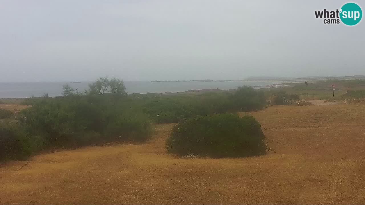 Mari Ermi Strand | Is Arutas – Oristano