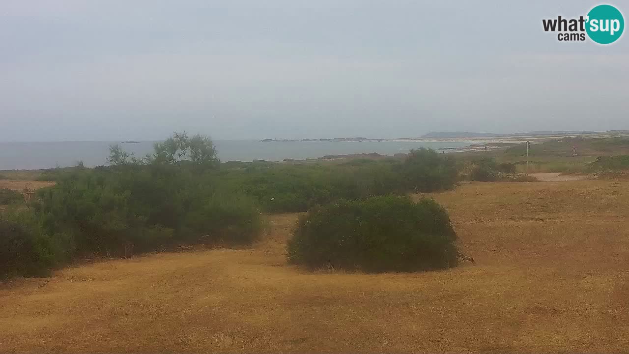 Plage Mari Ermi | Is Arutas – Oristano