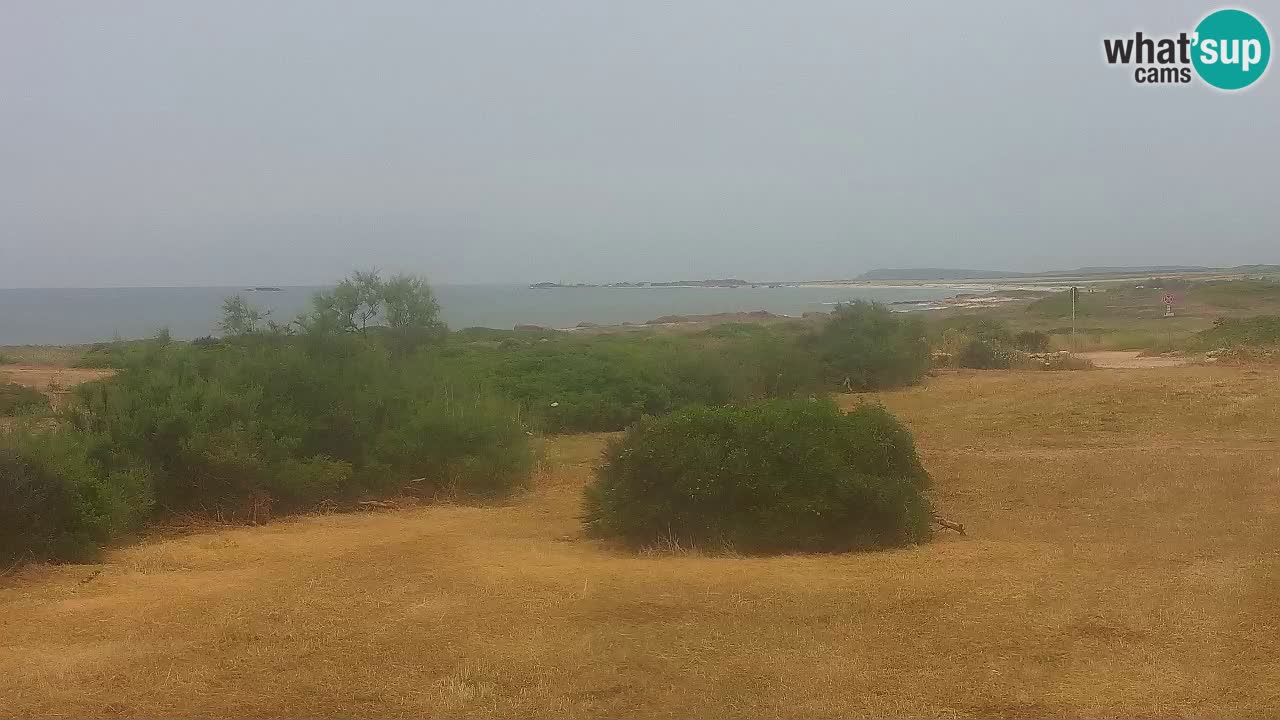 Mari Ermi Strand | Is Arutas – Oristano