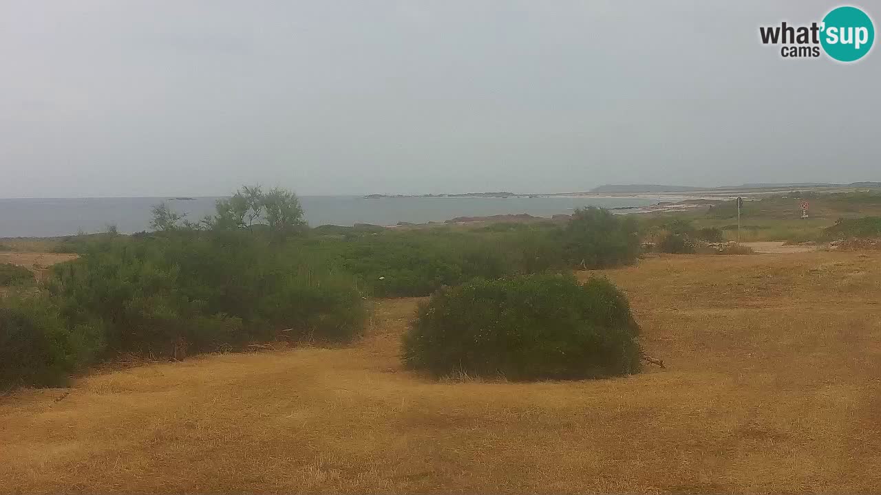 Plage Mari Ermi | Is Arutas – Oristano