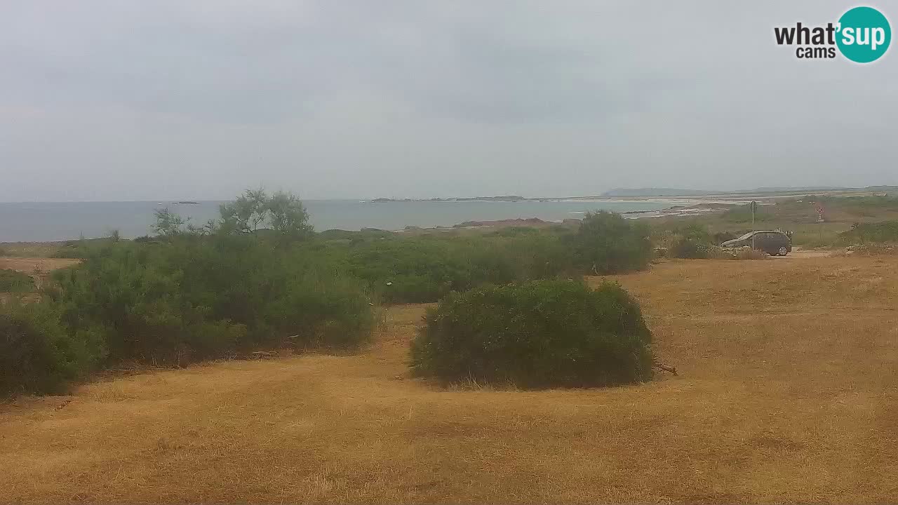Plaža Mari Ermi | Is Arutas – Oristano