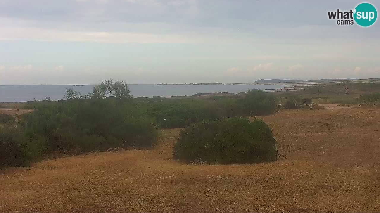 Plage Mari Ermi | Is Arutas – Oristano