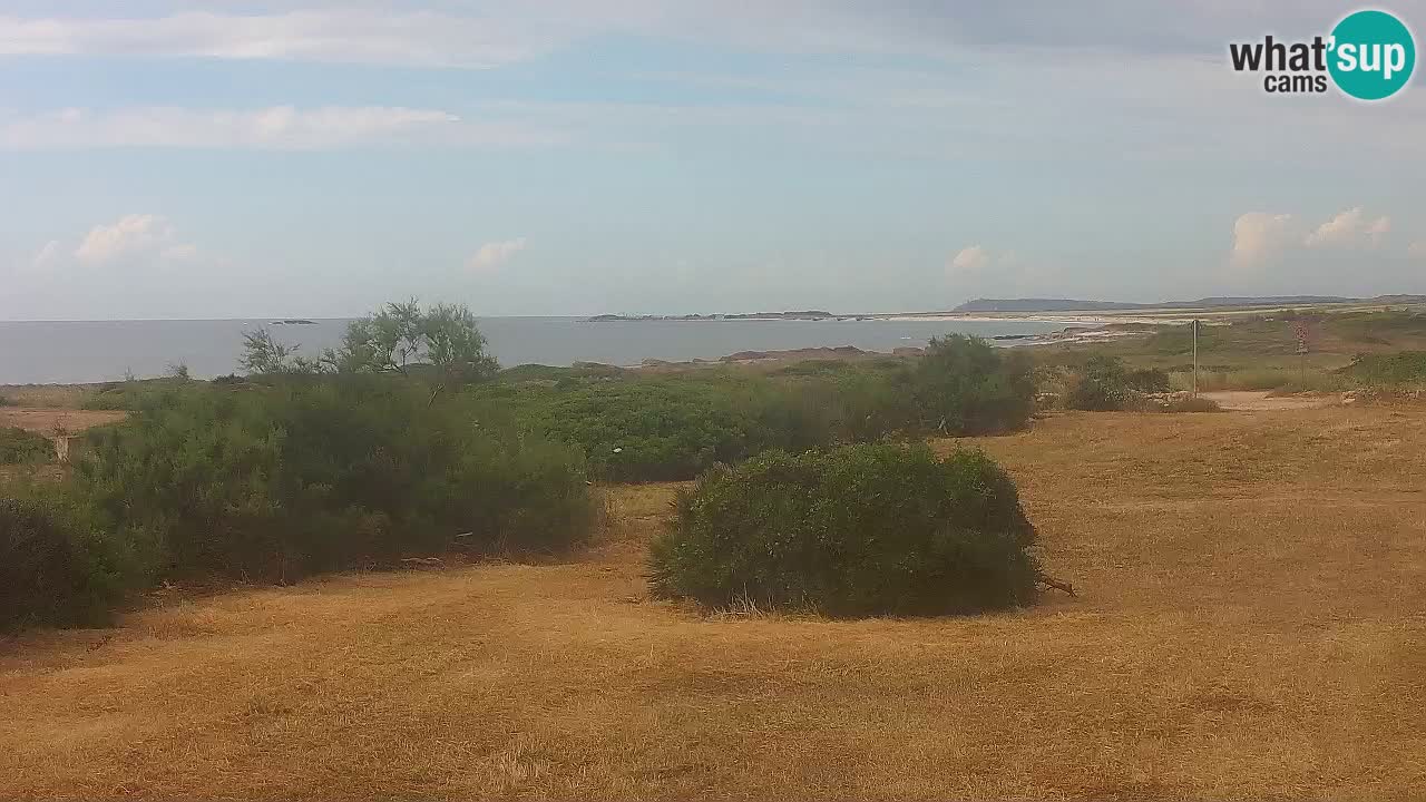 Mari Ermi Strand | Is Arutas – Oristano