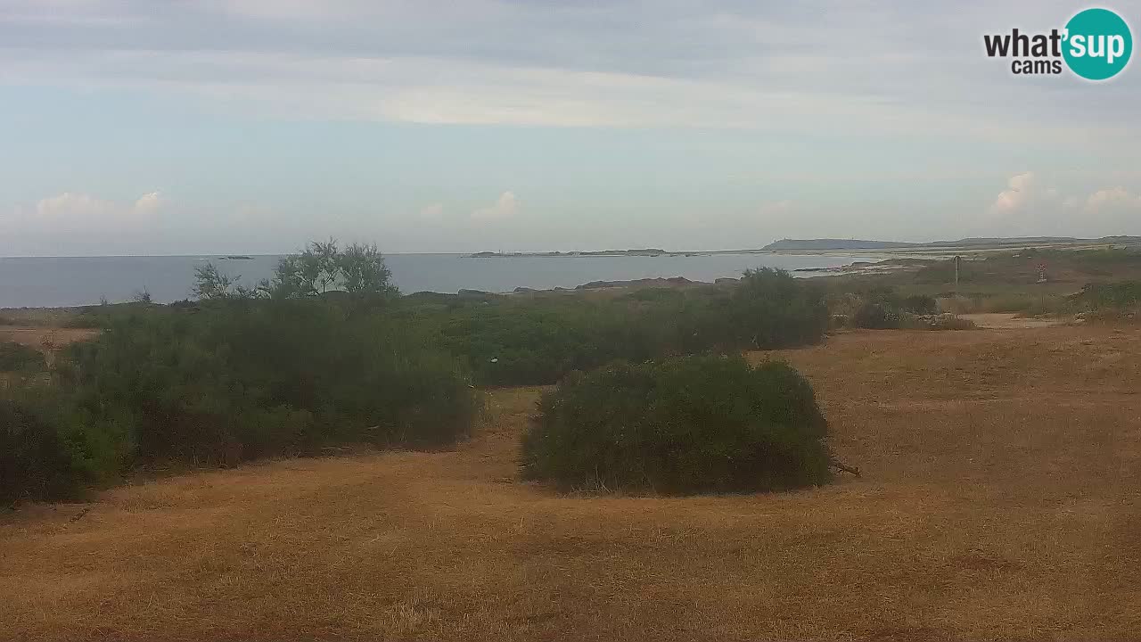 Spiaggia Mari Ermi | Is Arutas – Oristano
