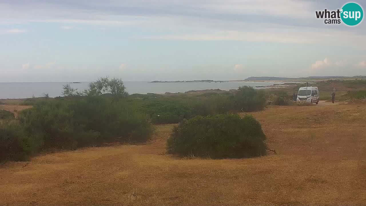 Plage Mari Ermi | Is Arutas – Oristano