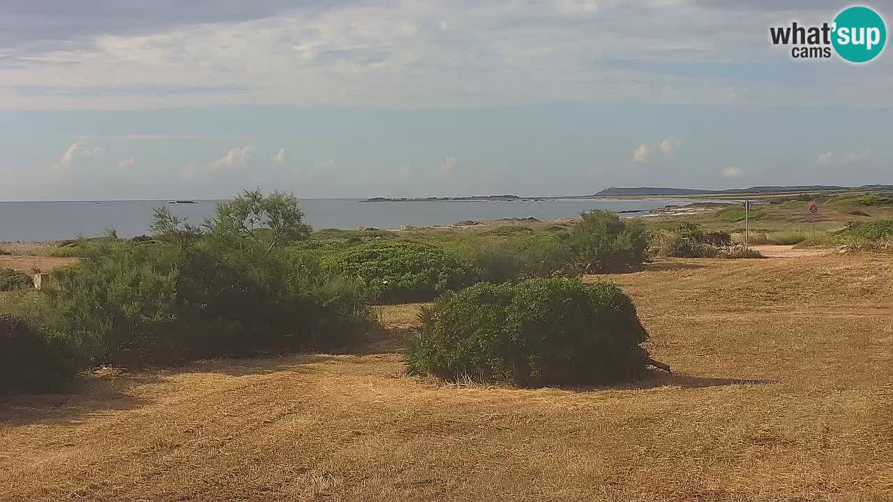 Mari Ermi Strand | Is Arutas – Oristano
