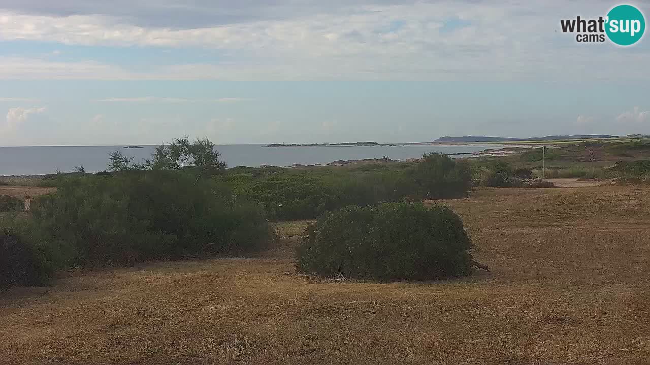 Mari Ermi Strand | Is Arutas – Oristano