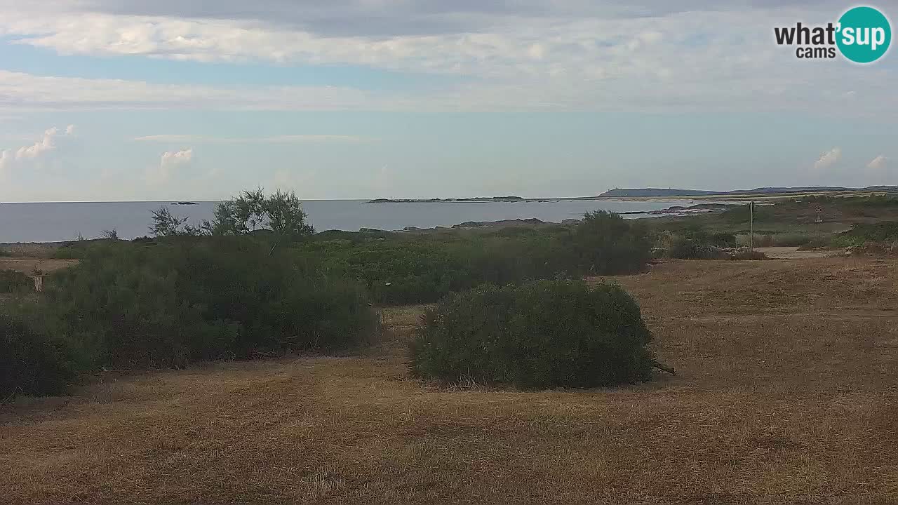 Plaža Mari Ermi | Is Arutas – Oristano