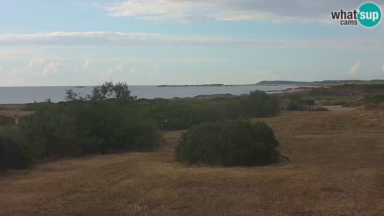 Spiaggia Mari Ermi | Is Arutas – Oristano