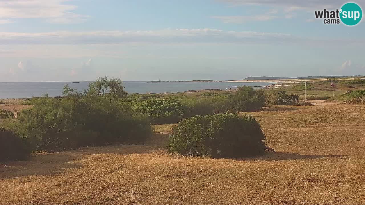 Mari Ermi beach | Is Arutas – Oristano