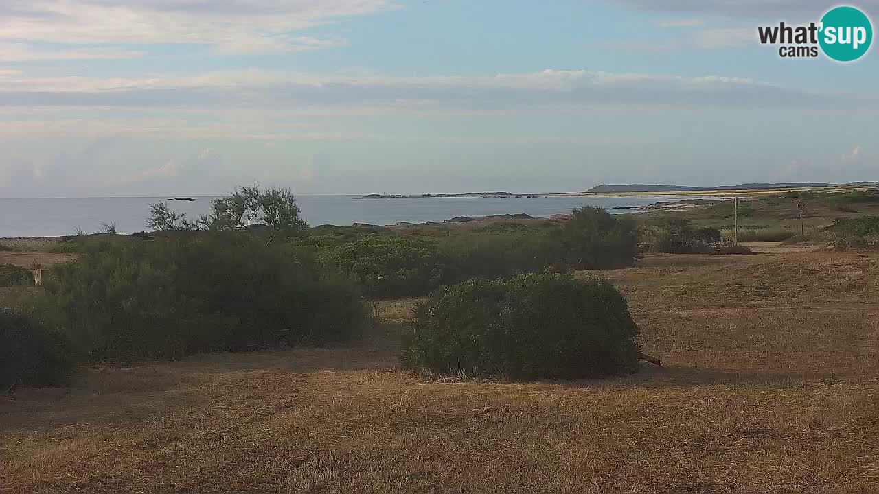 Mari Ermi beach | Is Arutas – Oristano