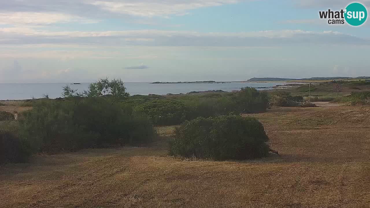 Plage Mari Ermi | Is Arutas – Oristano