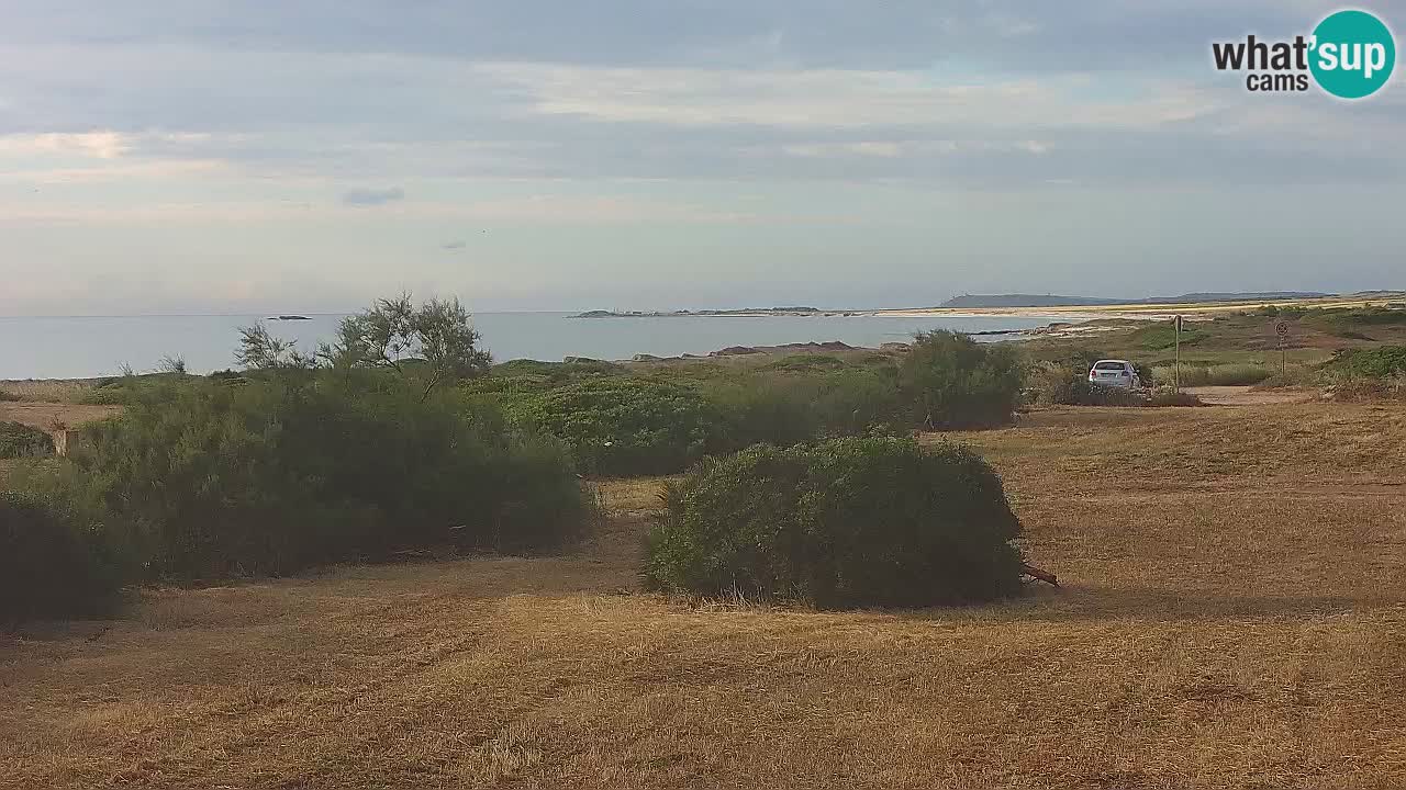 Mari Ermi Strand | Is Arutas – Oristano
