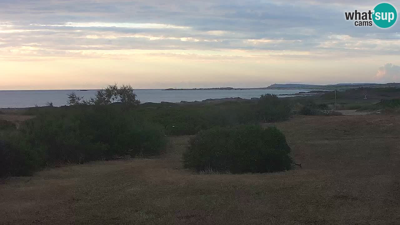Playa Mari Ermi | Is Arutas – Oristano