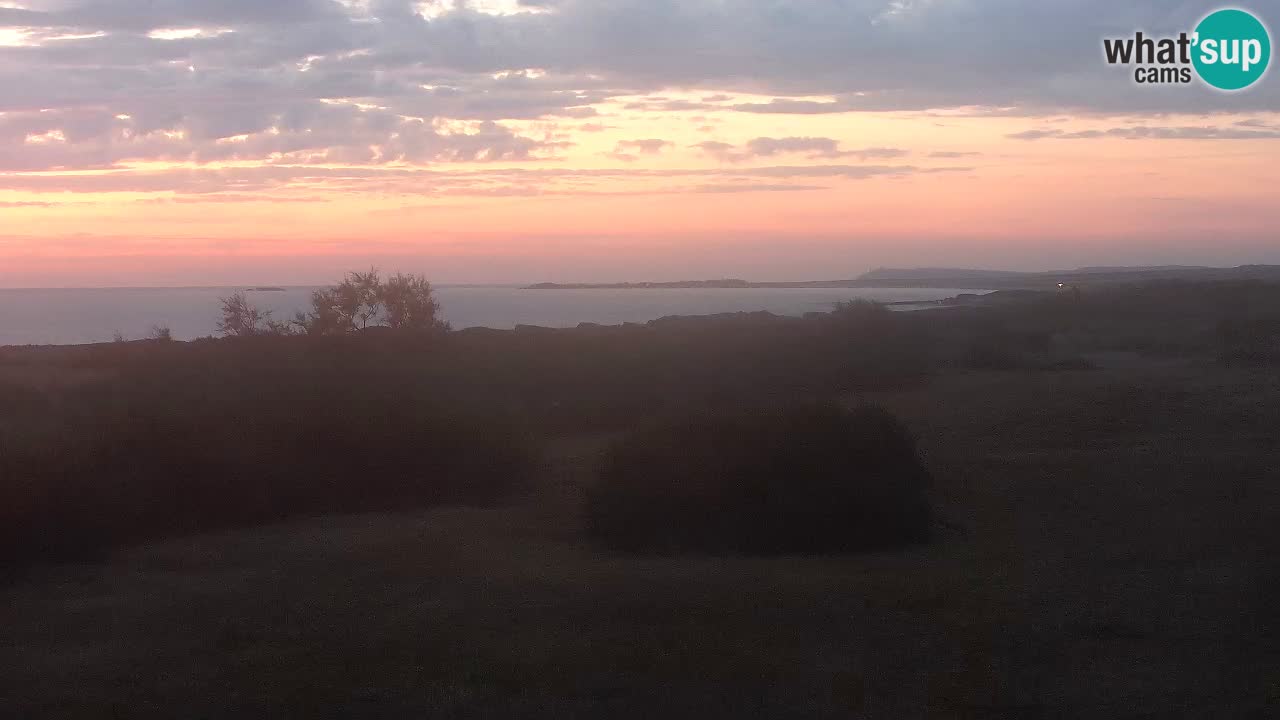 Plaža Mari Ermi | Is Arutas – Oristano