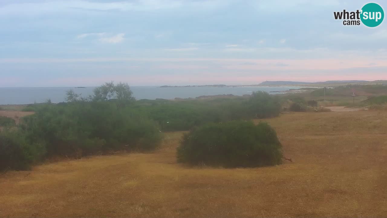 Playa Mari Ermi | Is Arutas – Oristano