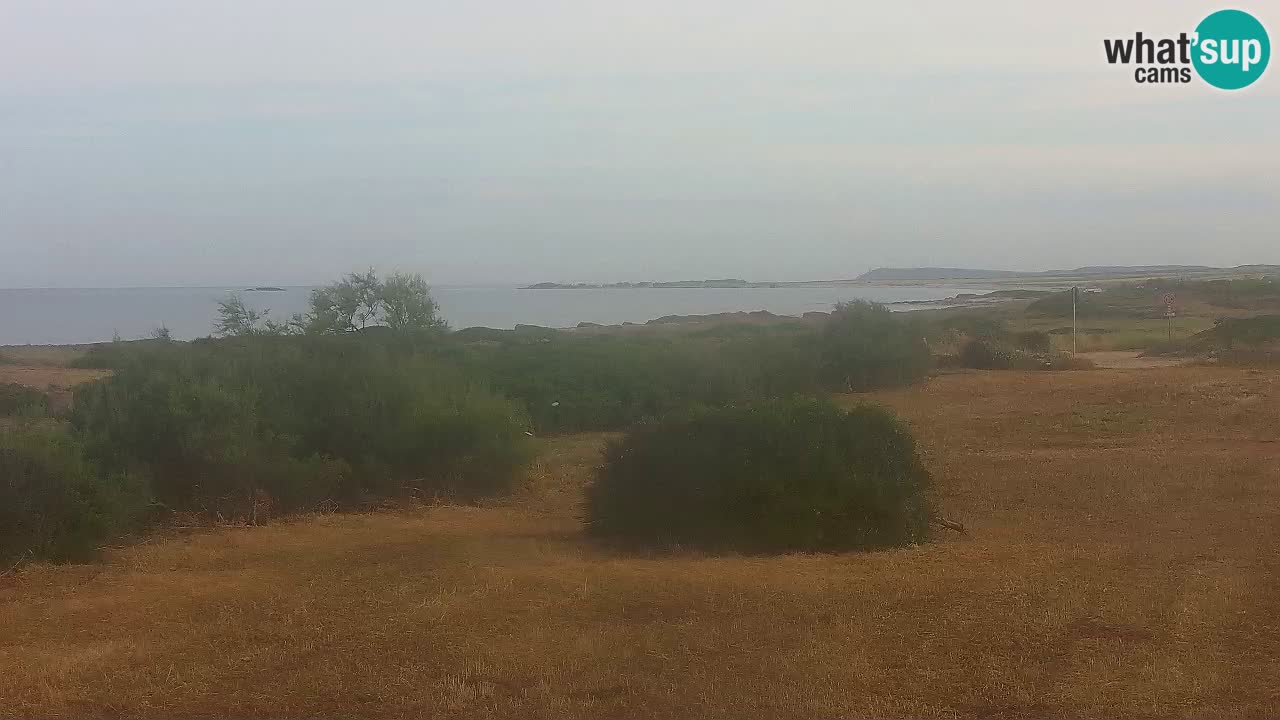 Plage Mari Ermi | Is Arutas – Oristano