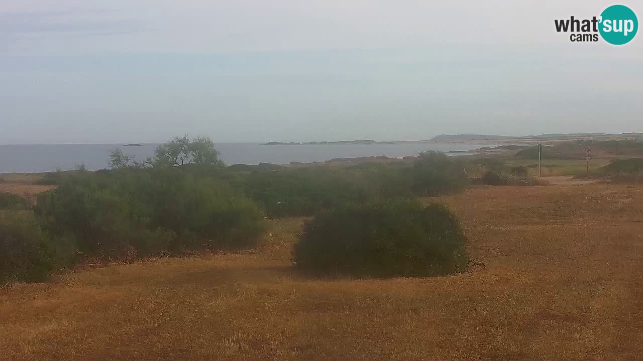Mari Ermi Strand | Is Arutas – Oristano