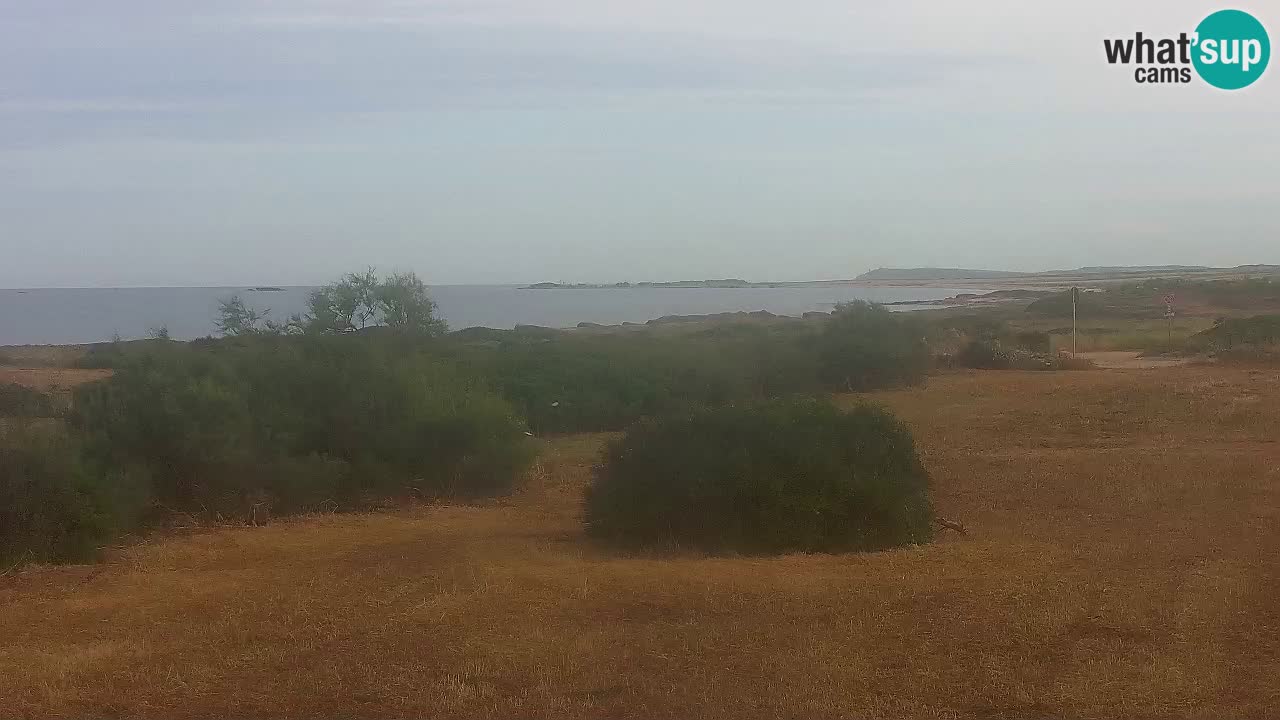 Spiaggia Mari Ermi | Is Arutas – Oristano