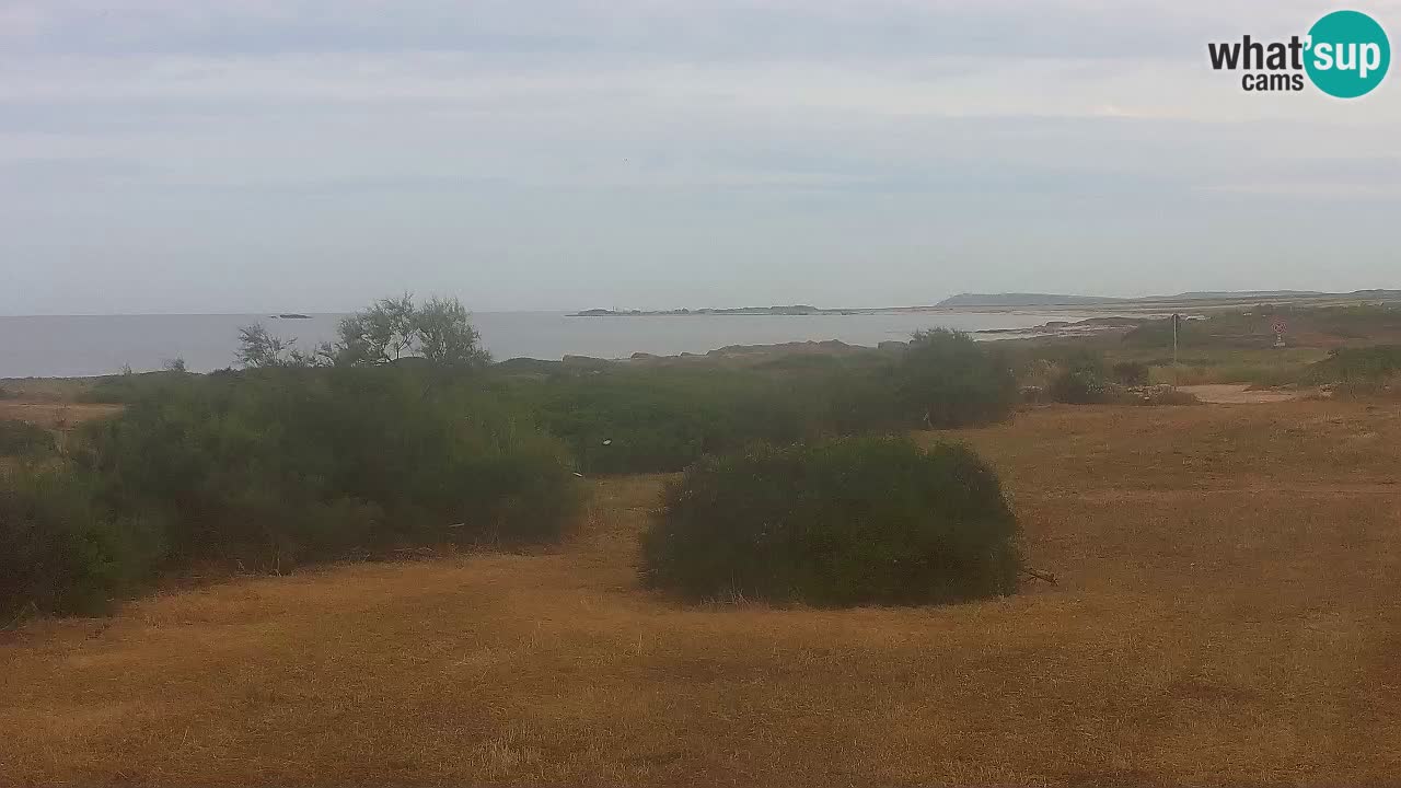 Mari Ermi beach | Is Arutas – Oristano
