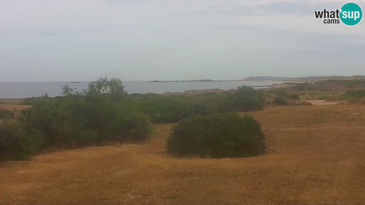 Plage Mari Ermi | Is Arutas – Oristano