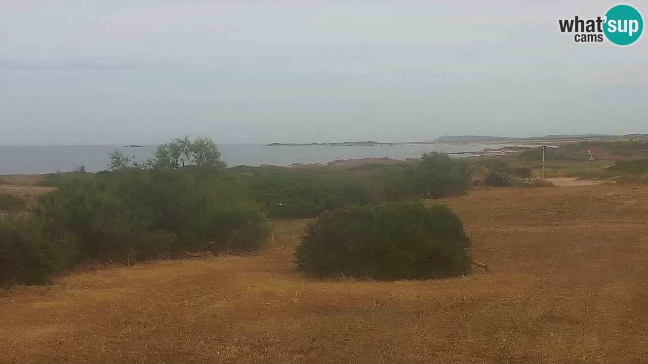 Playa Mari Ermi | Is Arutas – Oristano