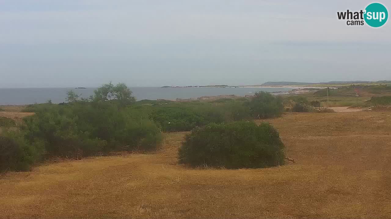 Plaža Mari Ermi | Is Arutas – Oristano
